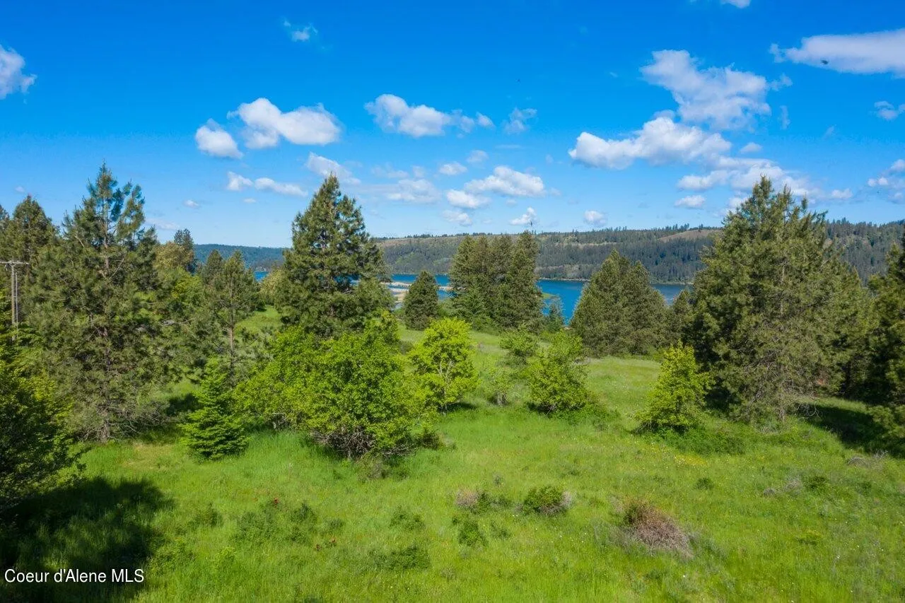 Ariel View 7 Land for sale in Harrison Idaho