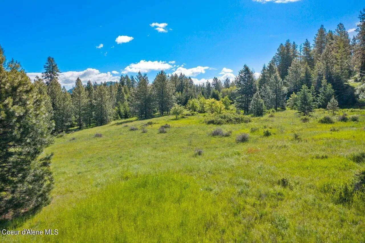 Ariel View 7 Land for sale in Harrison Idaho